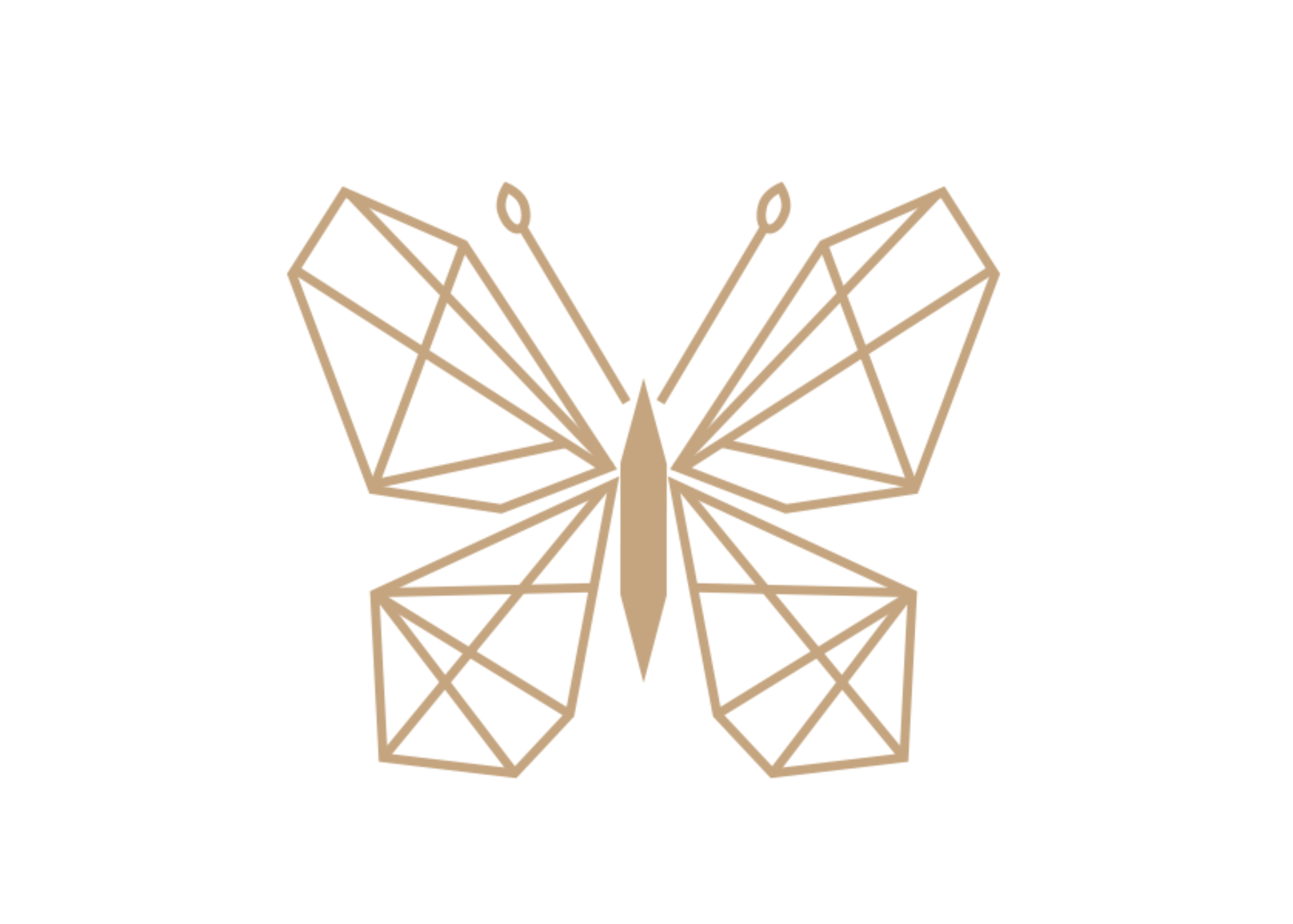 Butterfly Home Staging